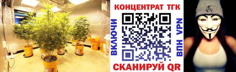 ТГК THC oil  площадка состав  Новотитаровская  наркошоп 