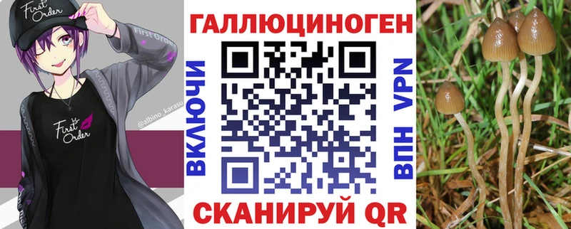 Псилоцибиновые грибы Psilocybe  hydra маркетплейс  Новотитаровская 